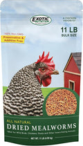 Dried Mealworms - 100% Natural, Non-GMO, High Protein, Bulk Insect Treat for Chicken, Laying Hen, Chick, Wild Bird, Bluebird, Duck, Goose, Turkey, Chickadee, Titmice, Wren, Reptile, Fish (11 lb.)