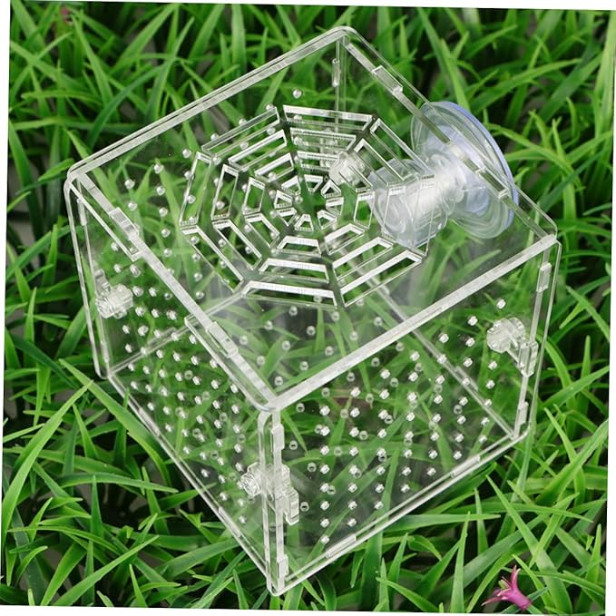 BESPORTBLE Acrylic Fish Breeding Box Live Fish Isolation Tank Breeding Hatching Box for Aquarium Round Hole Suction Cup