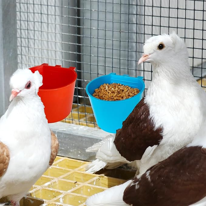 10 Pcs Cage Cups Birds Feeders Bowl Chicken Feeding Watering Dish Hanging Wire Cages Box Coop Cups for Pet Parrot Parakeet Gamefowl Poultry Pigeon and Quail（Blue and Red）