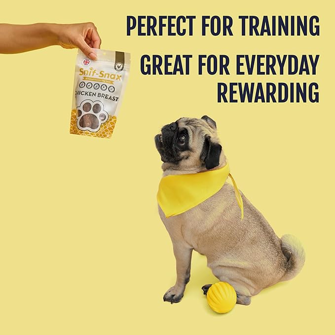 Snif-Snax Smoked Chicken Breast Dog Treats (4oz, 3-Pack) – All Natural Human Grade Jerky – Grain Free Training Treats for Dogs – Single Ingredient, Chicken Strips for Small, Medium & Large Dogs
