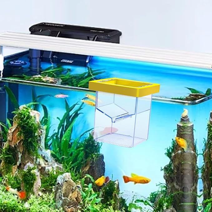 Fish Breeding Isolation Box Incubation Box Floating Separation Hatchery Fish Isolation Box for Baby Fish Guppy Fish Clownfish