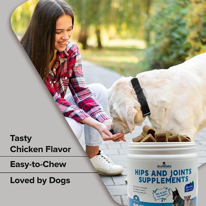 Dog Hip and Joint Supplement Soft Chews – Supports Mobility, Flexibility & Cartilage Health – Helps Relieve Joint Stiffness & Arthritis – Daily Joint Support for Dogs of All Breeds