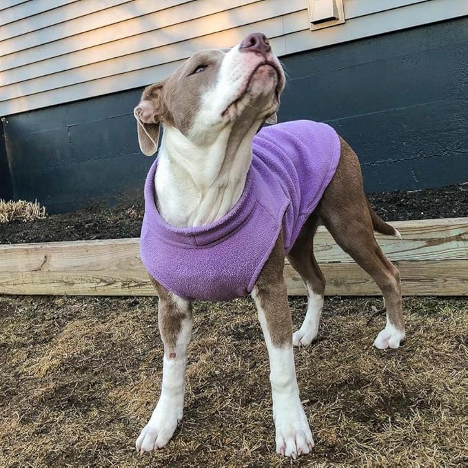 Gooby - Stretch Fleece Vest, Pullover Fleece Vest Jacket Sweater for Dogs, Lavender, Medium