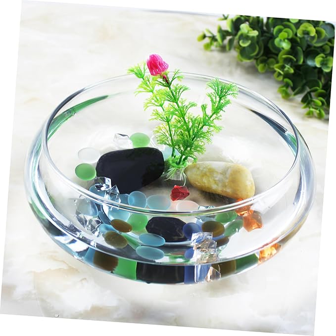 NUOBESTY Glass Fish Bowl Vase, Wide Mouth Vase Round Terrarium Hydroponic Planter Floral Mini Fish Tank Aquarium Candy Dish for Table Centerpiece 2800ml