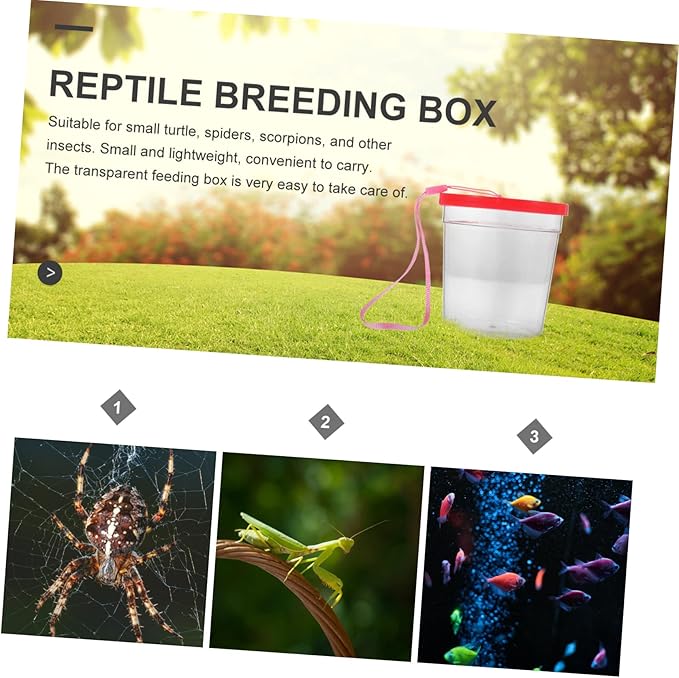 1pc Box Turtle Tank Mini Spider Habitat Pet Acrylic Nature Exploration Cage Mini Fish Fedding Cup Transparent Cup Reptile Pet Feeding Container Transport Vehicle Betta Fish Plastic