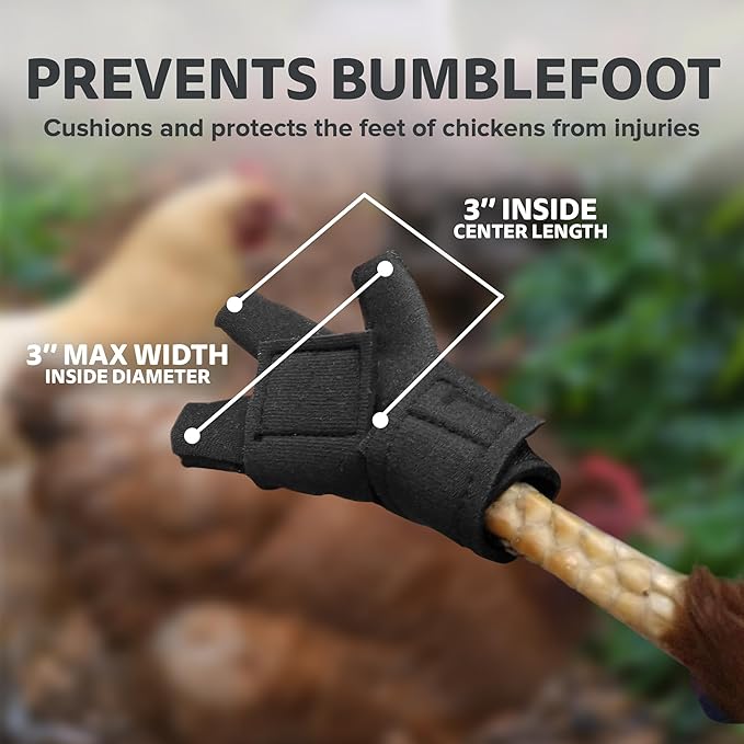 Chicken Shoes for Injured Feet – Protective Neoprene Footwear for Chicken, Open-Toe Design for Bumblefoot Relief, Made in USA - Large, 4" Max. Inside Width, Gray