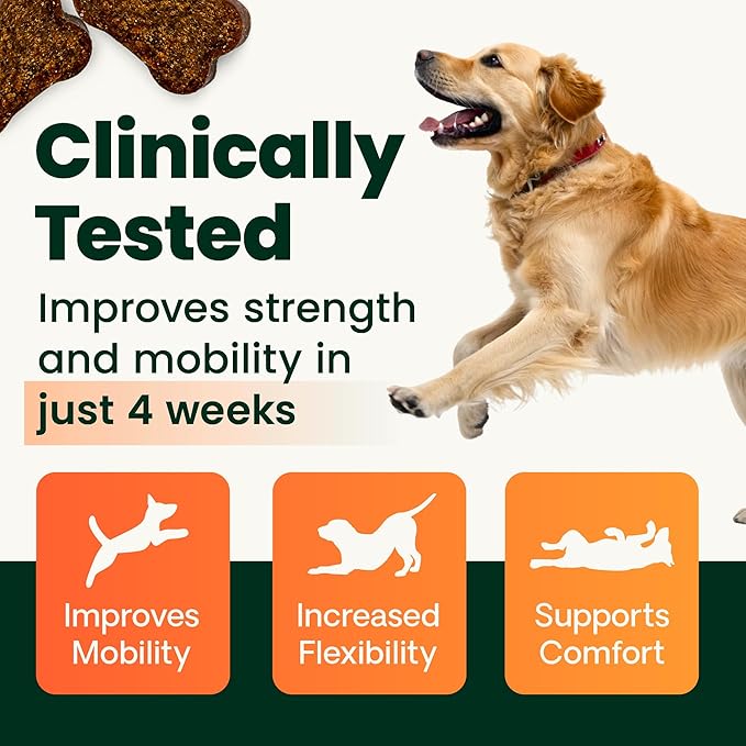 VetriScience Ultimate Strength Healthy Hip & Joint Chews, GlycoFlex Glucosamine, Chondroitin and Green-Lipped Mussel Joint Support Supplement for Dogs, Soothe Joint Discomfort, Bacon, 120 Count