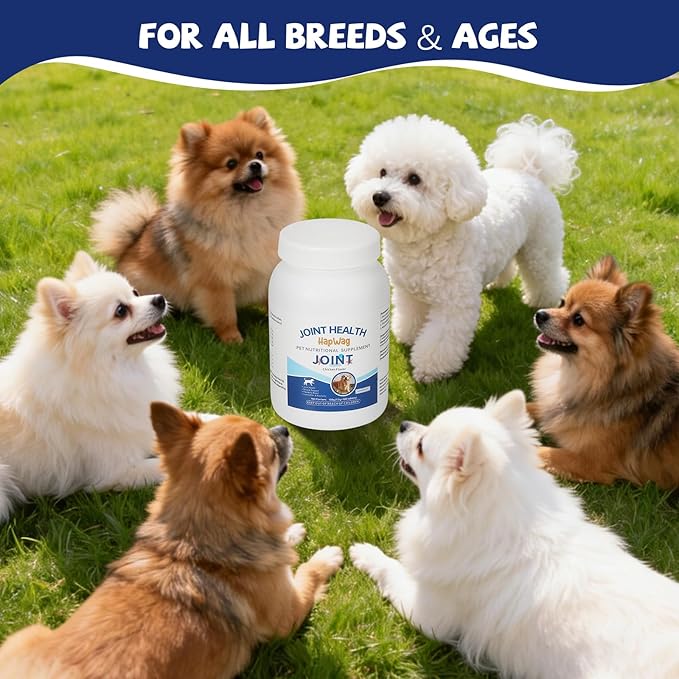 Hip and Joint Care Supplement with Glucosamine, Chondroitin, MSM for All Breeds and Ages Dogs - Chicken Flavor - 100 Chews