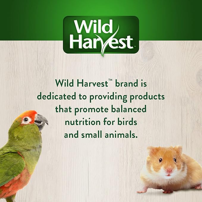 Wild Harvest Foraging Instincts Peck n’ Play Interactive Treat, 2 Ounce, for Small Birds (Pack of 2)