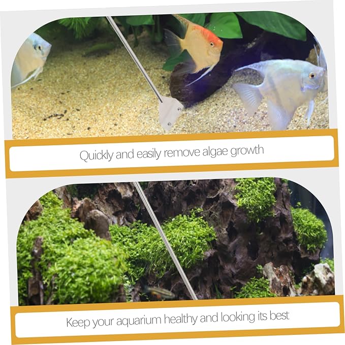 1Set Aquarium Tool Fish Tank Maintenance Kit with Straight Tweezers Straight Scissors and Scraper for