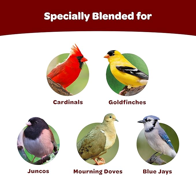 Kaytee Cardinal Seed Cake, Wild Bird Food, 1.85 Pounds, 4 Count