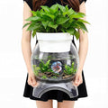 Geelin 1.5 Gallon Plastic Aquaponic Betta Fish Tank Aquaponic with Base and Top, Large Bowl Shatterproof Ecosystem Aquarium with Clear Clarity for Terrarium, Flower Vase Betta Fish Centerpiece Gifts