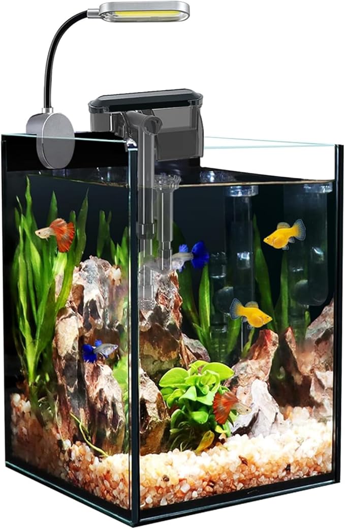 1.5 Gallon Fish Tank Starter Kits and 4pcs Replacement Filter Pad