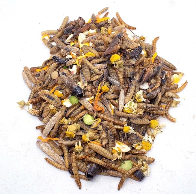 Pampered Chicken Mama Chicken Candy (16 Pounds): Chicken Treats for Hens for Chicken Feeder, Chicken Supplies, Chicken Food, Quail Food, Chicken Scratch, Mealworms, Crickets, Feed Corn, Peas, & More