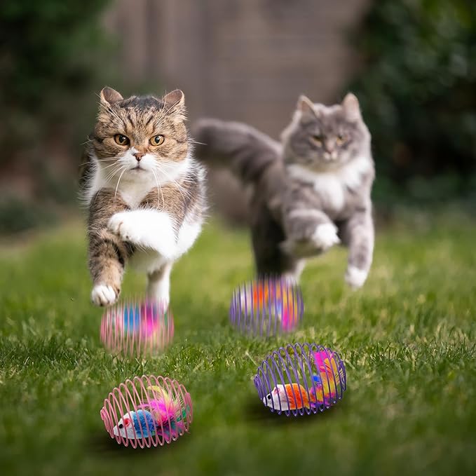 Jecery 5 Pcs Cat Spring Balls Toys Stretchable Rolling Balls Colorful Playful Coils Interactive Action Toy Caged Rats for Kitten Pet Supplies (Cute Mouse,Bright Color)