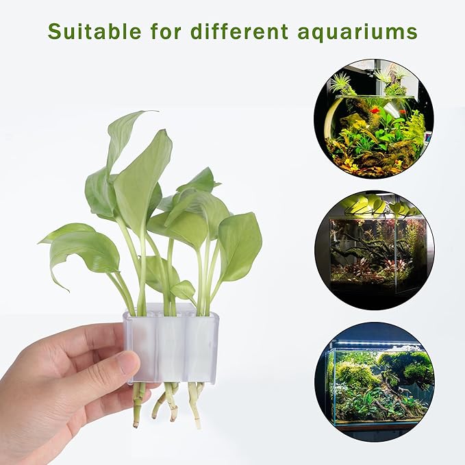 3 Holes Upgraded Aquatic Plant Cup Aquarium Plant Holder for Tank,Aquascape Accessories Decorations- White 4 Pcs