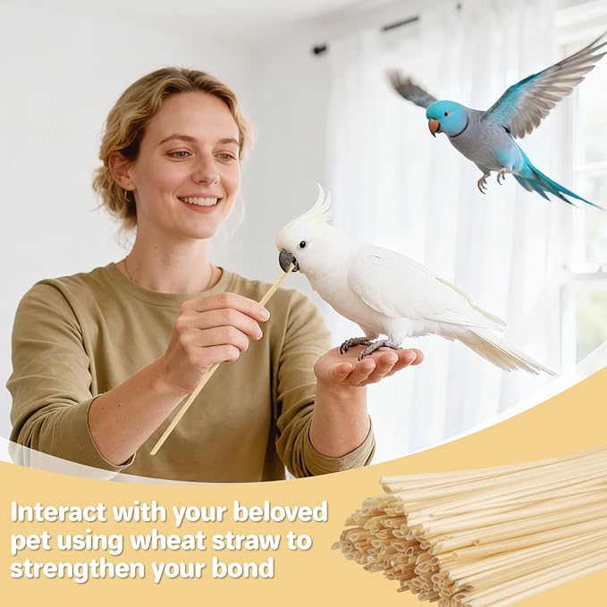 MAQIHAN Bird Chew Toys - 200 Count Natural Wheat Straw Parrot Shredding Foraging Toy for Beak,Interactive Bird Cage Toys for Parakeets, Cockatiels, Conures, Cockatoos