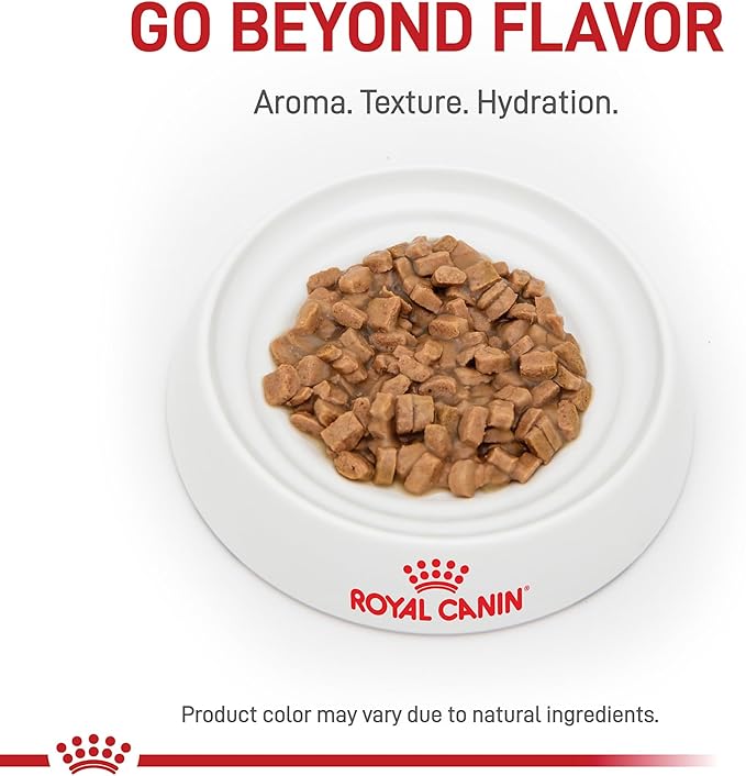 Royal Canin Feline Care Nutrition Appetite Control Care Adult Thin Slices in Gravy Cat Food, 3 oz (Pack of 24)