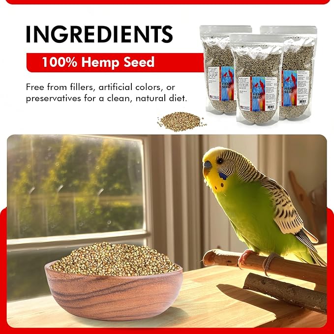 Morning Bird Hemp Seeds 4.5 lbs (3-Pack, 1.5 lbs Each) – High in Natural Protein, Healthy Fats, Omega 3 and 6 Fatty Acids, Delicious Natural Flavor, Supports Feather Growth & Overall Health