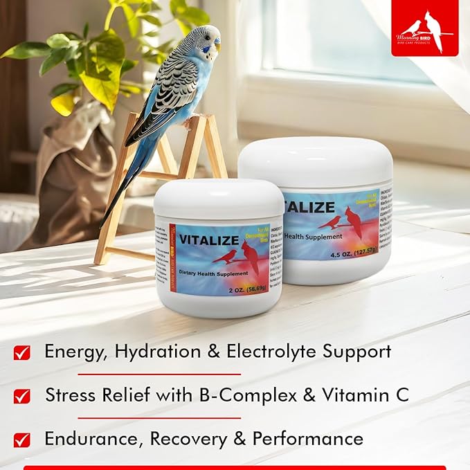 Morning Bird Vitalize for Birds 2 oz – Stress & Dehydration Support – Promotes Hydration, Energy, Balance & Muscle Recovery – Water-Soluble Supplement for All Bird Species