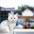 Cat Anti-Fall Fence Nets - Transparent Nylon Pet Mesh Fence for Balcony, Window, Stairs (10*33ft)