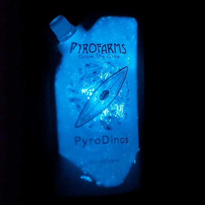 Bioluminescent Bio-Turtle Gift Option, Glass Turtle Micro-Aquarium, Redeemable PyroDino Card for Live PyroDinos and DinoNutrients