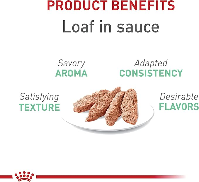 Royal Canin Feline Care Nutrition Digestive Care Adult Loaf in Sauce Cat Food, 3 oz (Pack of 24)