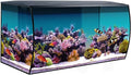 Fluval Flex 32.5 Marine Salt Water Aquarium Kit - Fish Tank for Fish, Coral & More - Comes with LED Lights, Filtration System & More - 32.5" x 15.75" x 15.35" - 123 L, 32.5 Gal. - Black