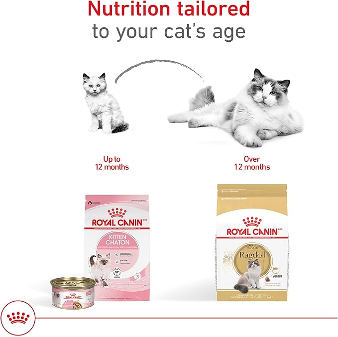 Royal Canin Feline Breed Nutrition Ragdoll Adult Dry Cat Food, 7 lb Bag