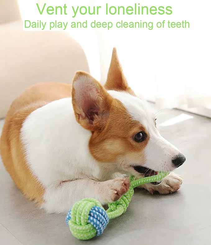 Sunglow Squeaky Carrot Dog Toy & Interactive Chewing Rope，Squeaky Dog Chew Toys，Dog Decompression and Tug Toy for Small Dogs Training Playing Teeth Cleaning (Tug&Carrot)