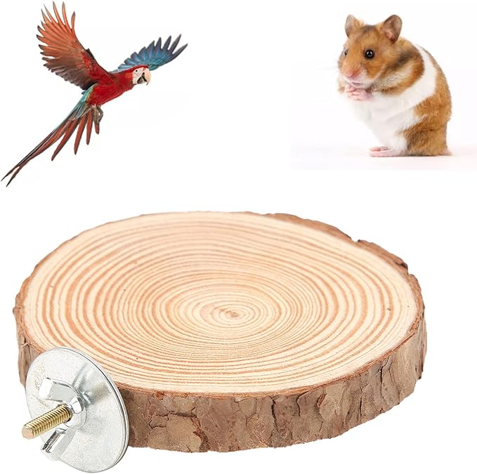 Parrot Perches Stand, Wooden Round Platform Bird Toy, Bird Perches Stand, for Small Parakeets Squirrel, for Hamster