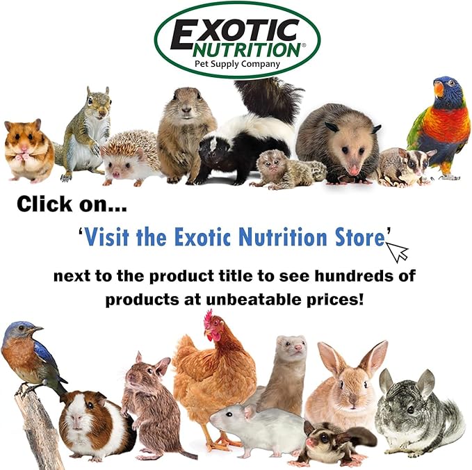 Exotic Nutrition 30 LB Bulk Dried Black Soldier Fly Larvae - High-Calcium Insect Treat - Chickens, Wild Birds, Bluebirds