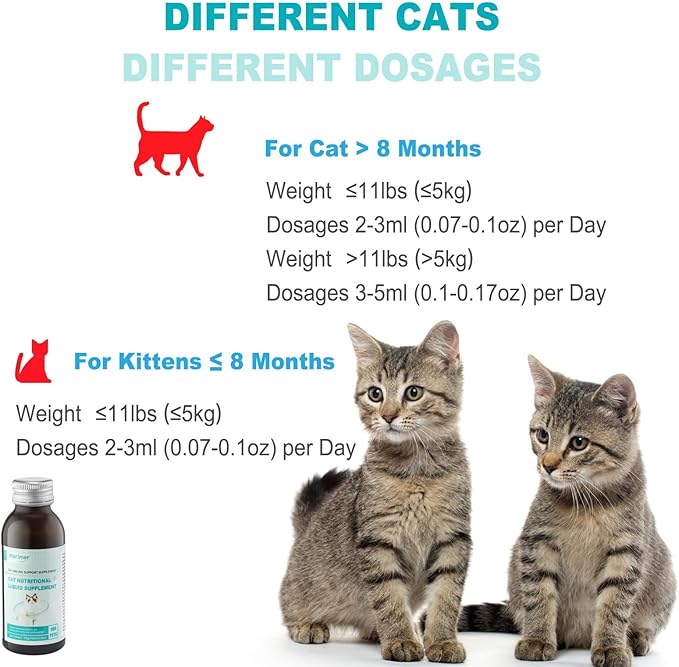 Cat Immune Support Liquid Supplement – L-Lysine & Astragalus – Enhances Immunity and Relieves Feline Herpes Symptoms – Nutritional 3.38oz (100ml) for Cats of All Ages