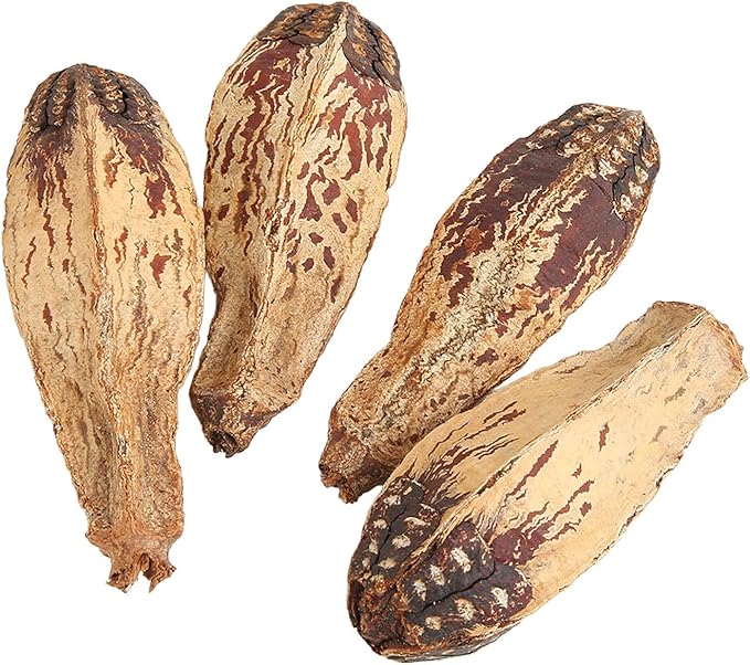 Parrot Chew Nuts, Natural Dried Nut Treats, 5 Bags - Boredom Relief, Mouth Sharpening, Home Decorative Pet Toy for Birds