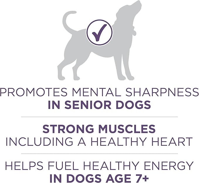Purina ONE High Protein Dry Senior Dog Food Plus Vibrant Maturity Adult 7 Plus Formula - 31.1 lb. Bag