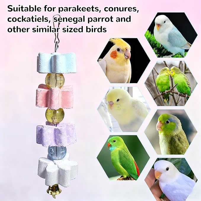 6Pieces Parrot Beak Trimmer Bird Beak Grinding Stone Teeth Lava Block Mineral Calcium Rock Chewing Toys with Bell for Parakeet Conure Budgies Rabbit Chinchilla Hamster