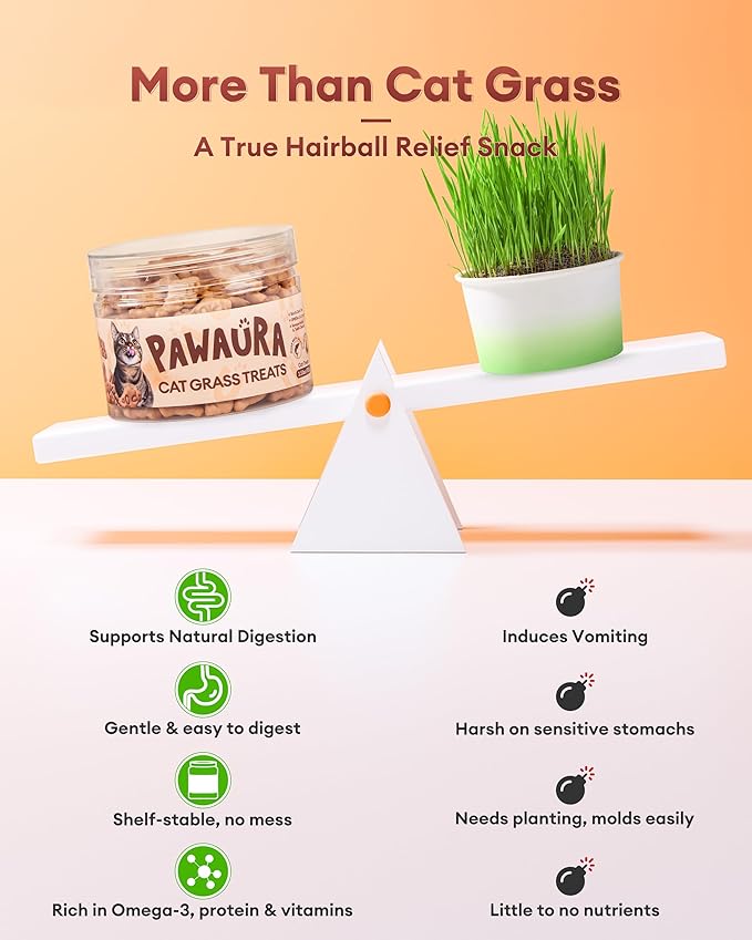 3.53oz Cat Grass Treats for Hairball Control – Natural Salmon & Cat Grass & Catnip Biscuits, Low-Calorie Healthy Snacks for Indoor Cats, Digestive & Dental Care