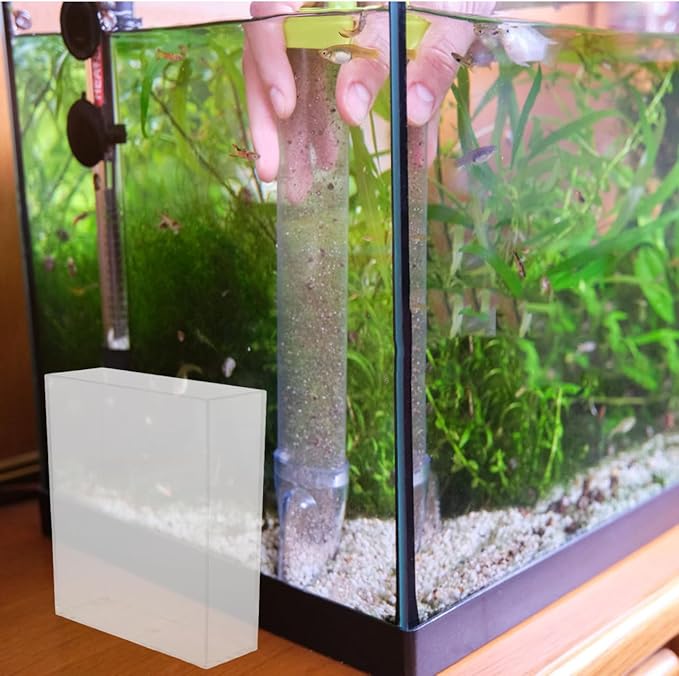 Kisangel Portable Transparent Fish Viewing Box 4.92X4.33X1.49In Lightweight Betta Fish Tank Small Aquarium Breeding Container for Desktop Observation and Care