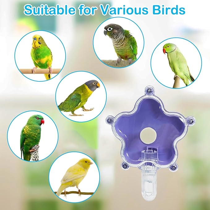 BNOSDM Bird Foraging Toys Cockatiel Foraging Wheel Parrot Cage Spinning Toys Parakeet Enrichment Puzzle Feeder Toy for Budgies Lovebirds Canaries (Purple)