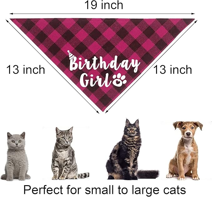 Cat Birthday Party Supplies - Cat Outfits Kitten Bandanas with Hat, Crown, Bow Tie, Number for Kitten Decorations (Rose)