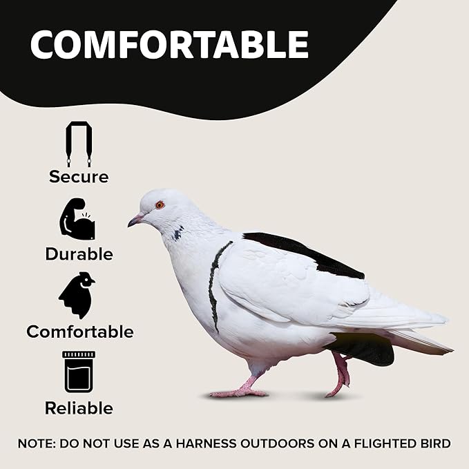 Bird Diaper, Wrap Around, for Larger Pigeons, Small Breed Hens and Roosters, Leak-Proof Design, Comfortable Fleece Strap Bird Harness with Sewn-in Liner & Secure Hook and Loop Closure - XS, Black