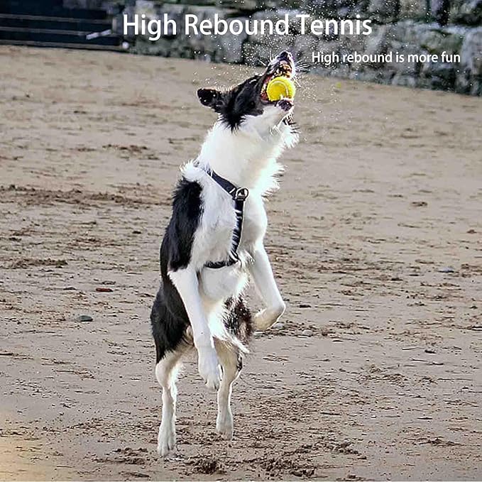 12 Packs 2-inch Mini Tennis Balls for Pet Playing Fecth, Dogs Training Tennis Balls for Small to Medium Size Dogs, Interactive Dog Playing Ball Fits 2 inch Dog Ball Launchers