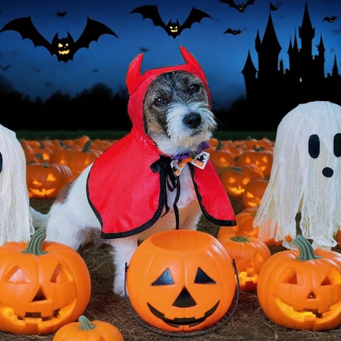 Halloween Pet Costumes Halloween Vampire Costume Cape Accessories Red Cat Wizard Cloak Puppy Witch Collar Cape Halloween Cosplay Clothes Apparel for Cats Small Dogs