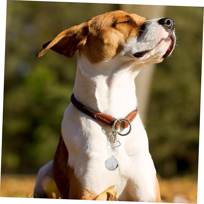 Pet Collar Bells Cute Charms for Dogs and Cats Crisp Sound for Easy Training Simple Installation for