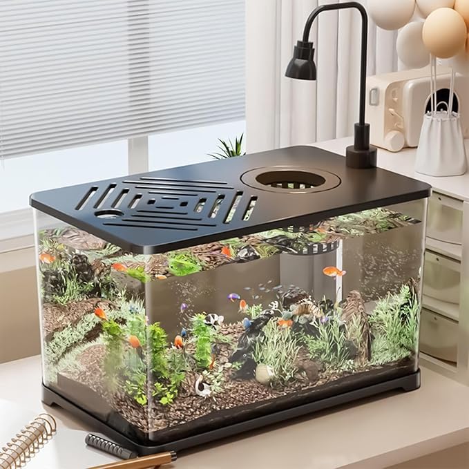 Aquarium Tank – Fish Tank Starter Kit | Modern Clear Panoramic Aquarium Container with Resting Area for Turtle, Betta, Guppy, Shrimp, Jellyfish, Stylish Indoor Water Habitat for Home Office Apartment
