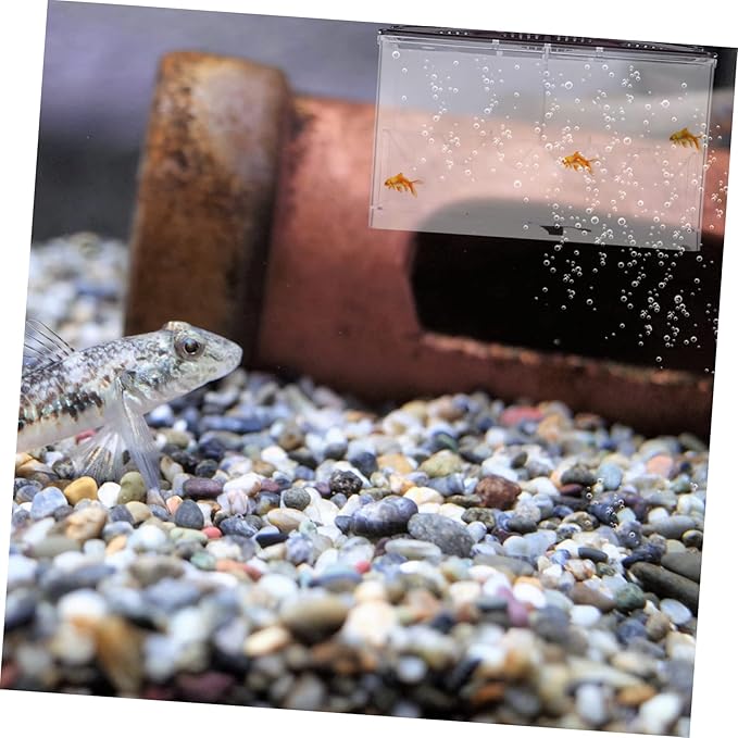 Multi-use Fish Isolation Box for Aquarium Breeding Box Feeding Slot Drainage Outlet