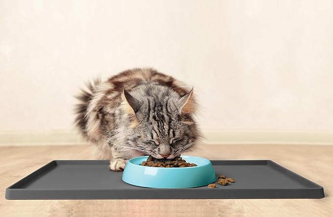 CatGuru Cat Bowls, Whisker Friendly Food Bowl for Indoor Cats, Reliefs Whisker Fatigue, Wide Kitten Dish, Non Slip Pet Dishes, Shallow Pet Plates (Aruba, (Pack of 2))