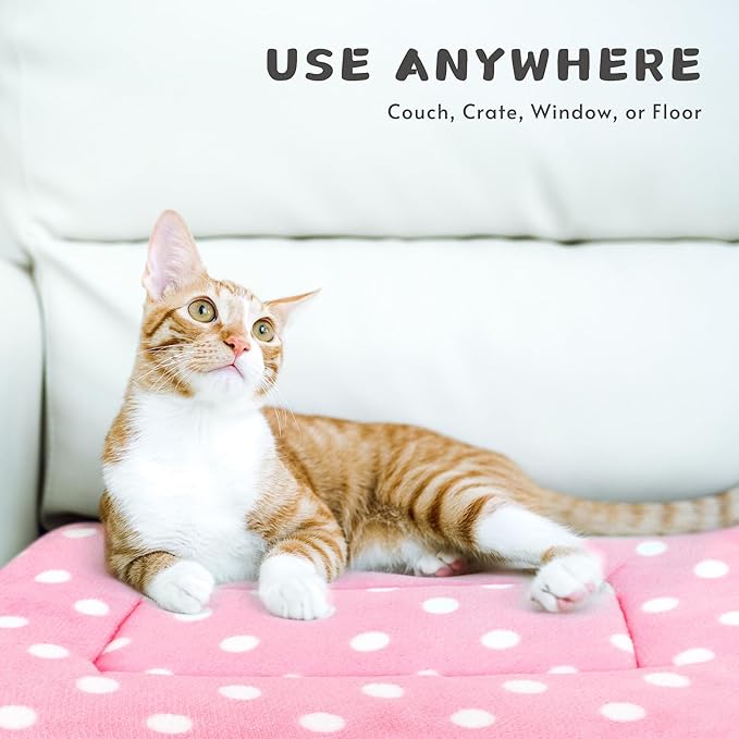 2 Pack Cat Blanket for Indoor Cats Ultra Soft and Warm Calming Cat Bed Fleece Pet Mat for Anxiety and Stress Washable Kitten Blanket