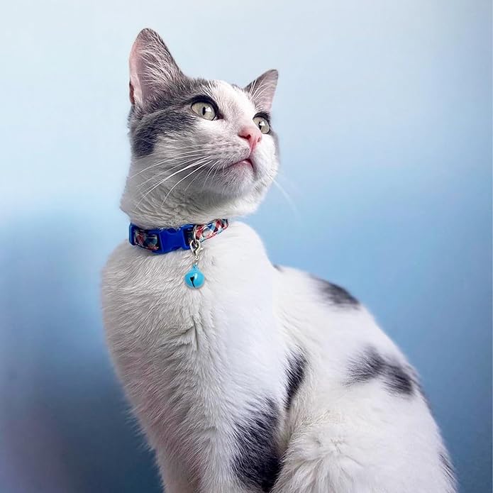 50 PACK Pet Bells for Cat Dog, Round Bell with Loud Crisp Sound Multicolor Cat Dog Collar Charm Pet Pendant Accessories Jingle Bell for Christmas Decoration