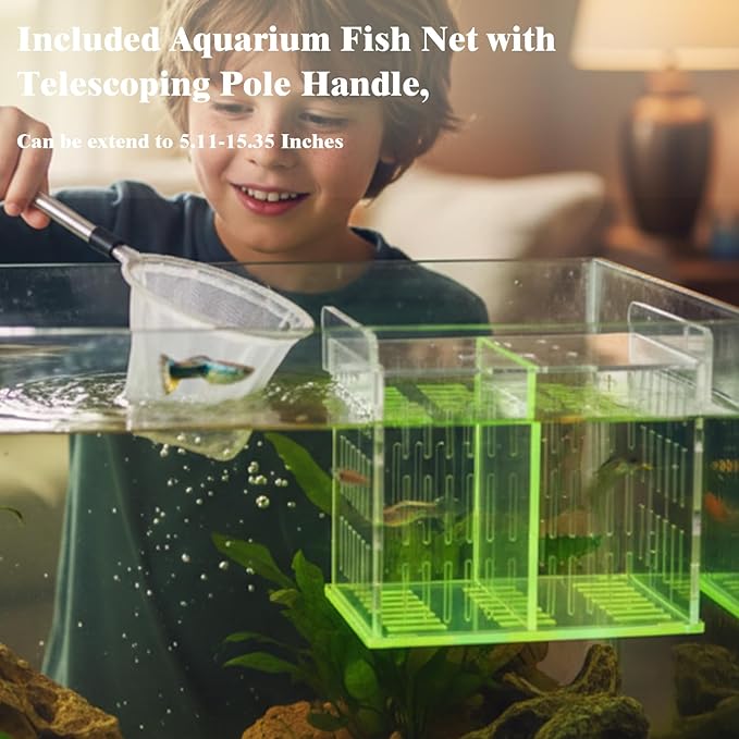 Aquarium Acrylic Breeding Box with Extendable Net - Fish Tank Breeder Box, Isolation Acclimation Hatchery for Saltwater & Freshwater Baby Fish, Shrimp, Betta (Green, 7.4x5.3x6.3 in)